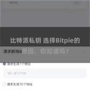 比特派私钥 选择Bitpie的原因，你知道吗？