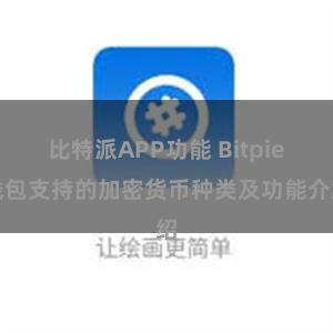 比特派APP功能 Bitpie钱包支持的加密货币种类及功能介绍