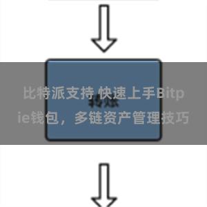 比特派支持 快速上手Bitpie钱包，多链资产管理技巧