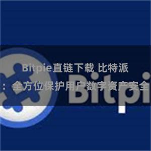 Bitpie直链下载 比特派：全方位保护用户数字资产安全