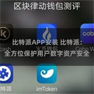 比特派APP安装 比特派：全方位保护用户数字资产安全