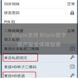 Bitpie支持 Bitpie数字资产安全保障指南