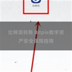 比特派转账 Bitpie数字资产安全保障指南