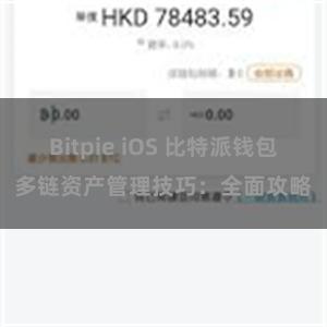 Bitpie iOS 比特派钱包多链资产管理技巧：全面攻略