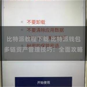 比特派教程下载 比特派钱包多链资产管理技巧：全面攻略