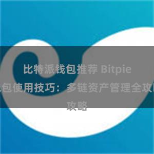 比特派钱包推荐 Bitpie钱包使用技巧：多链资产管理全攻略