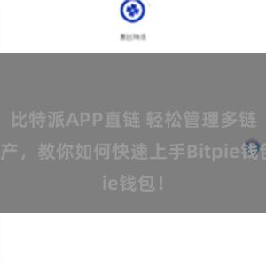 比特派APP直链 轻松管理多链资产,教你如何快速上手Bitpie钱包!