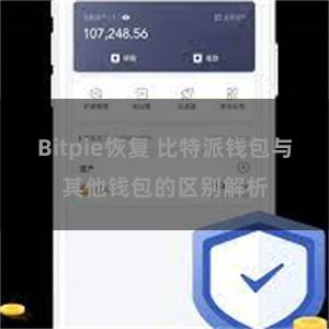 Bitpie恢复 比特派钱包与其他钱包的区别解析
