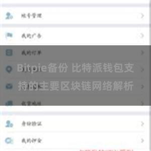 Bitpie备份 比特派钱包支持的主要区块链网络解析