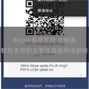 Bitpie系统支持 比特派钱包支持的主要区块链网络解析