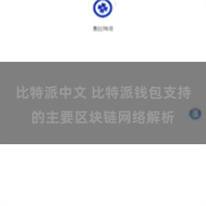 比特派中文 比特派钱包支持的主要区块链网络解析