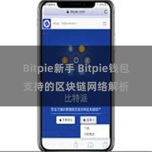 Bitpie新手 Bitpie钱包支持的区块链网络解析