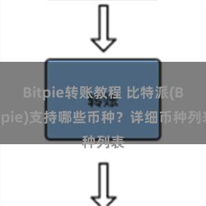 Bitpie转账教程 比特派(Bitpie)支持哪些币种？详细币种列表