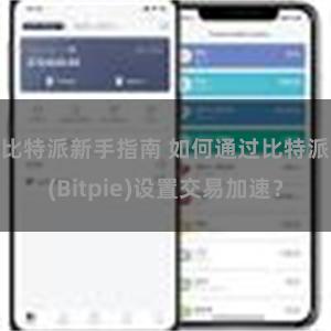 比特派新手指南 如何通过比特派(Bitpie)设置交易加速？