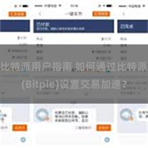 比特派用户指南 如何通过比特派(Bitpie)设置交易加速？