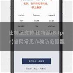 比特派支持 比特派(Bitpie)官网常见诈骗防范提醒