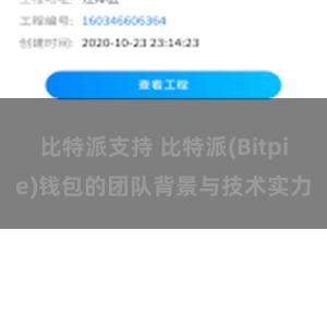 比特派支持 比特派(Bitpie)钱包的团队背景与技术实力