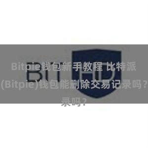 Bitpie钱包新手教程 比特派(Bitpie)钱包能删除交易记录吗？