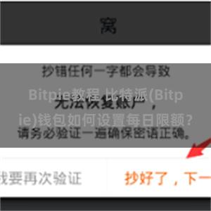 Bitpie教程 比特派(Bitpie)钱包如何设置每日限额？