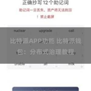 比特派APP功能 比特派钱包：分布式治理教程